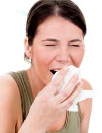 Hay Fever Immune System Protection