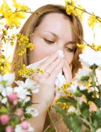 Hay Fever Irritation Symptoms Common
