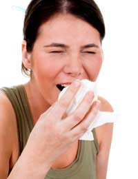 Hay Fever Myths Caused Pollinating