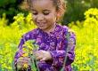 When Hay Fever Hits: Coping Skills For Kids