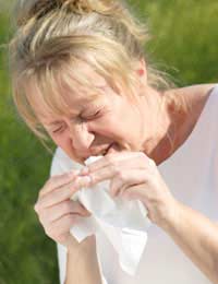 Nose Rebound Medication Effect Rapid Hay