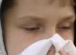 How Global Warming Affects Hay Fever