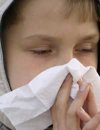 Global Warming Hay Fever Allergy Asthma
