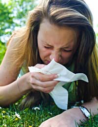 Grass Pollen Hay Fever Tree Summer