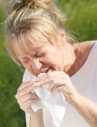 Skin Tests hayfever skin Prick Tests 