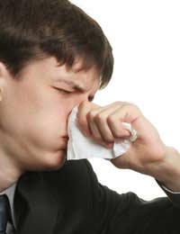 Hayfever symptoms Of Hayfever bunged