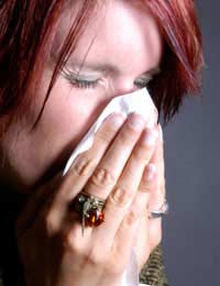 Perennial Rhinitis Hay Fever Allergic